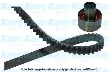 Комплект ремня ГРМ DKT-6518 KAVO PARTS - фото №1