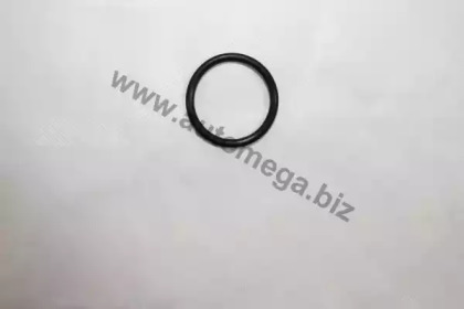 Уплотнительное кольцо, резьбовая пробка маслосливн. отверст. 190064810 AUTOMEGA - фото №1