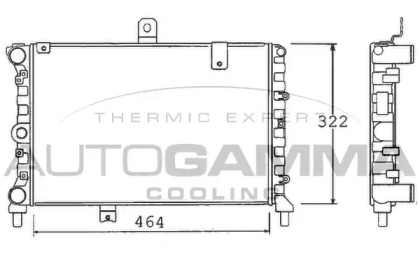 Радиатор, охлаждение двигателя 100453 AUTOGAMMA - фото №1